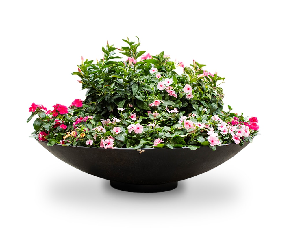 Round Bowl Planter